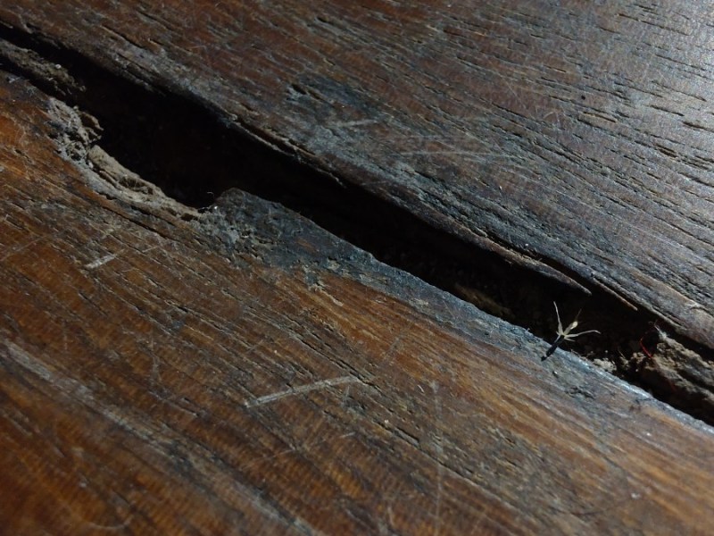 Gbagbe: faltas, fomes e&nbsp;fissuras…